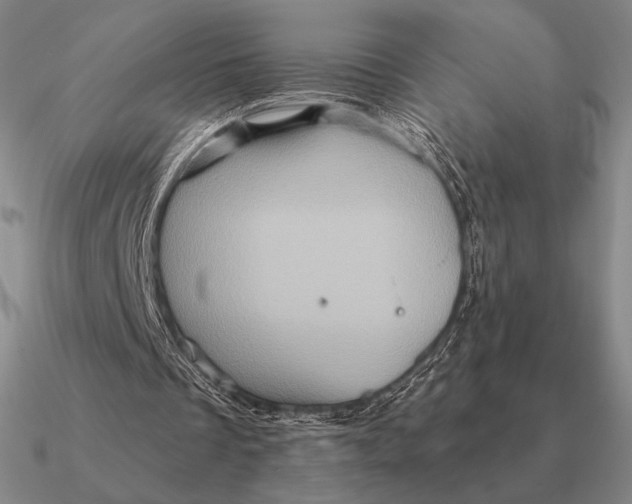 X0000090610289200708071209