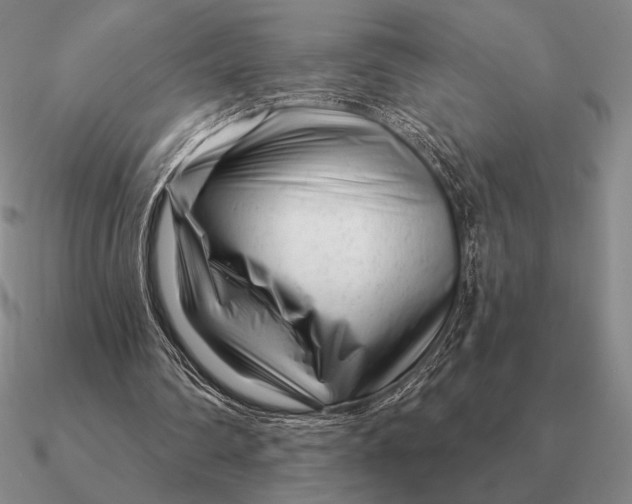 X0000090610290200708071209