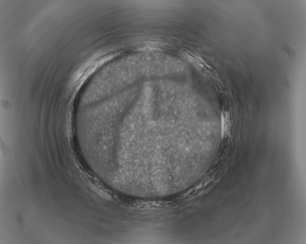 X0000090610291200708071209