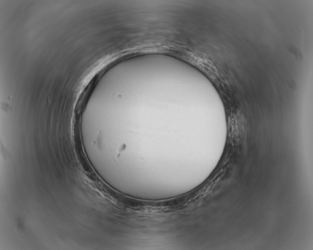 X0000090610292200708071209