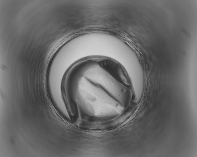 X0000090610293200708071209