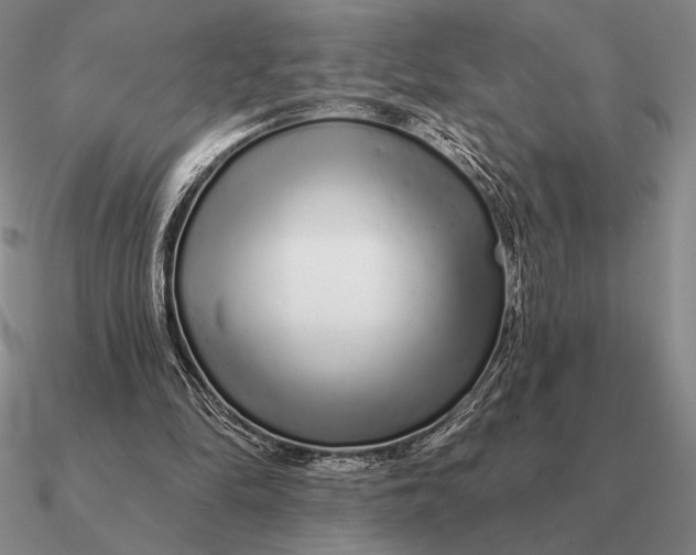 X0000090610294200708071209