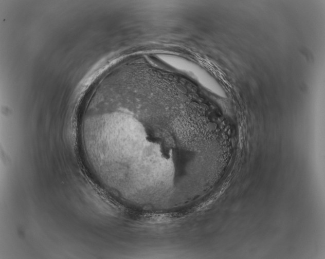 X0000090610295200708071209