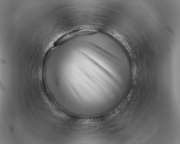 X0000090610297200708071209