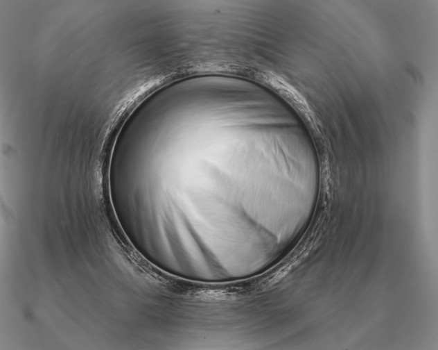 X0000090610298200708071209