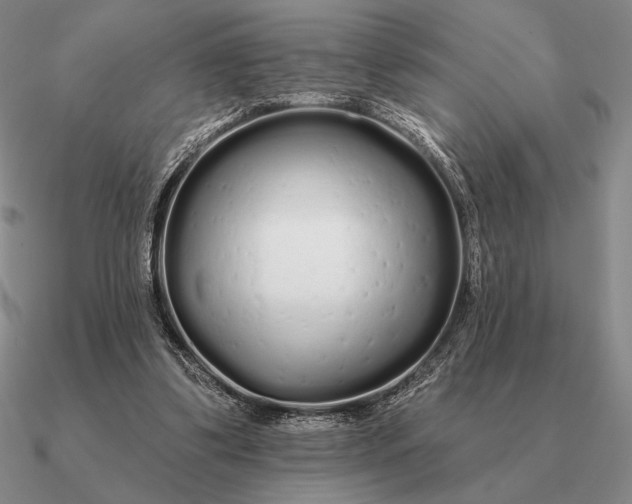 X0000090610299200708071209