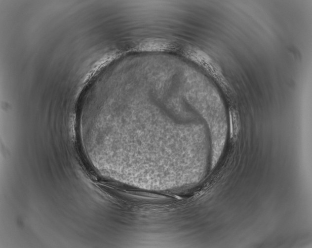 X0000090610300200708071209