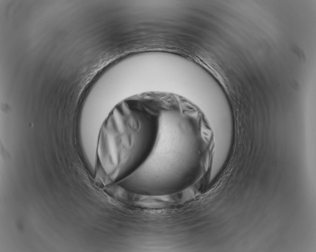 X0000090610301200708071209