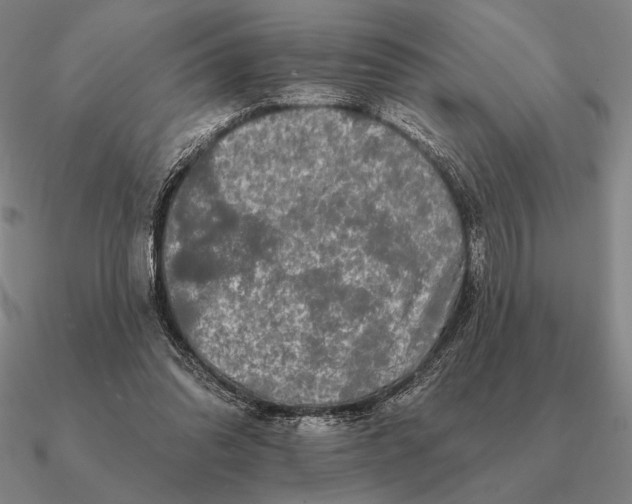 X0000090610302200708071209