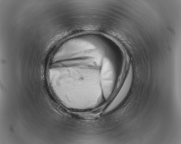 X0000090610303200708071209