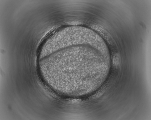 X0000090610304200708071209