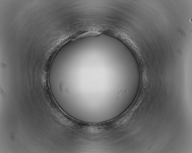 X0000090610305200708071209