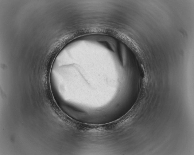 X0000090610306200708071209