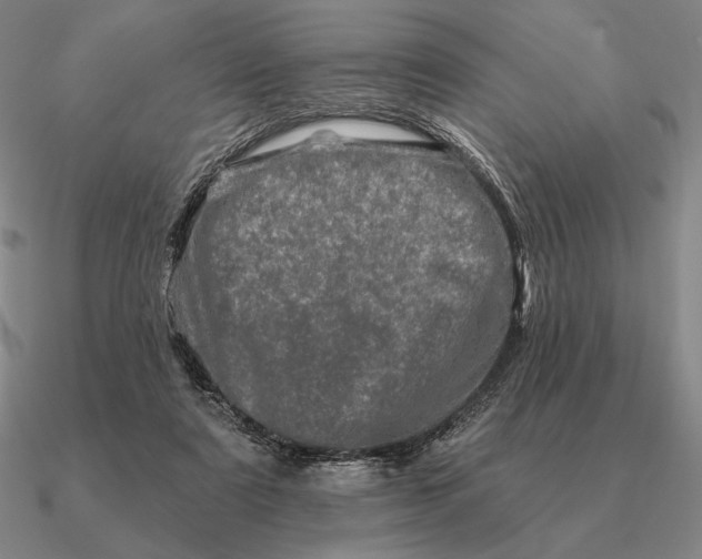 X0000090610307200708071209