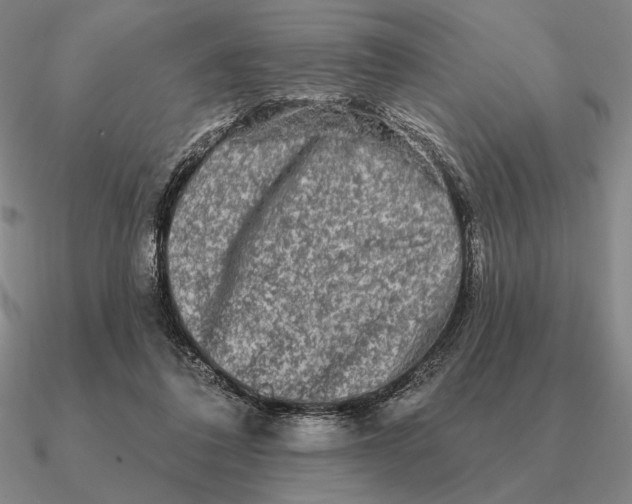 X0000090610308200708071209