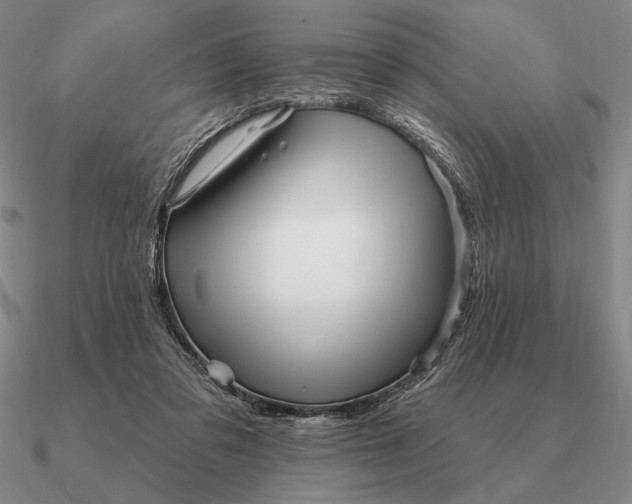 X0000090610309200708071209