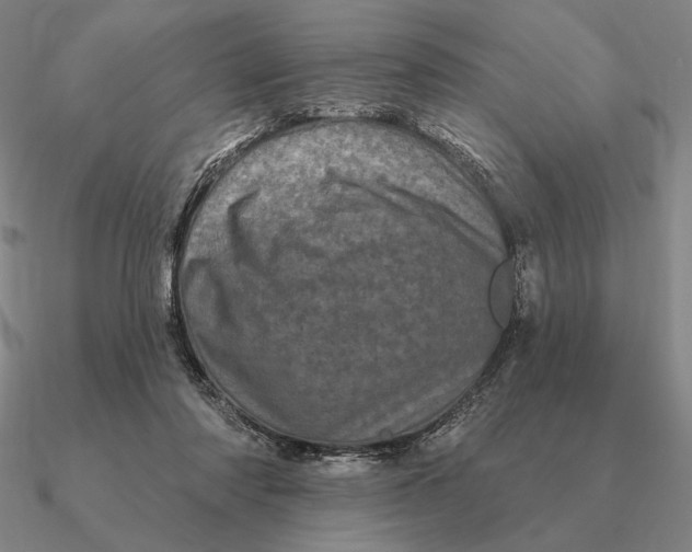 X0000090610310200708071209