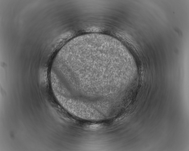 X0000090610312200708071209