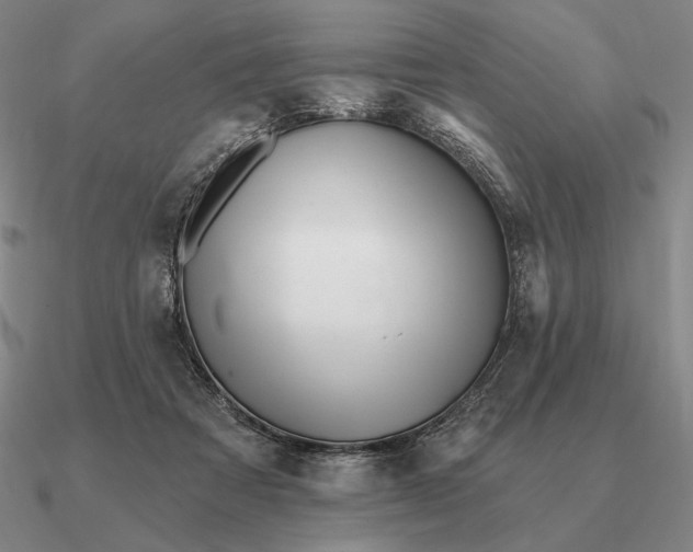 X0000090610313200708071209