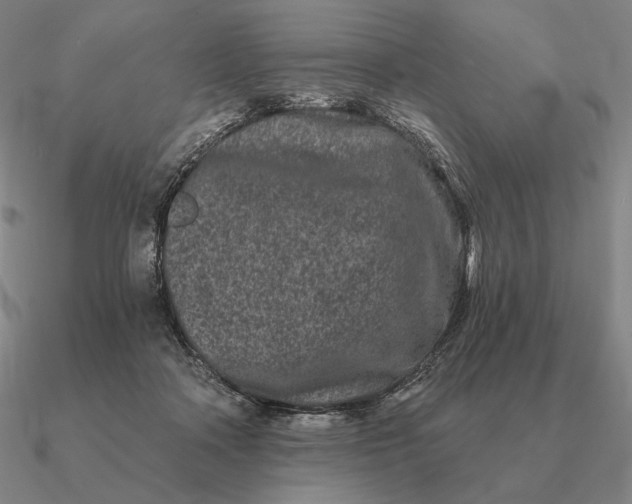 X0000090610314200708071209