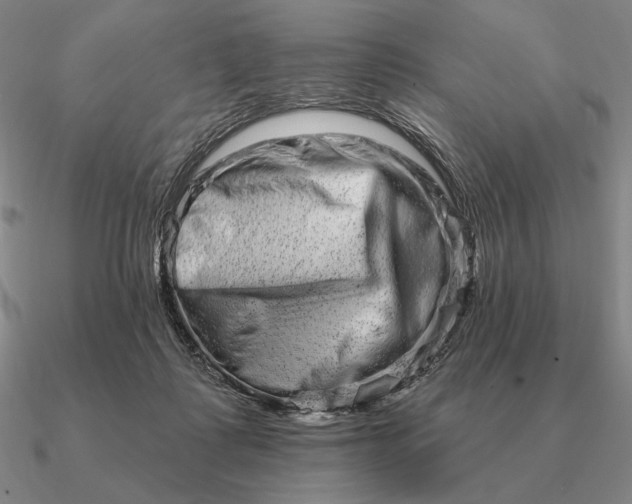 X0000090610315200708071209