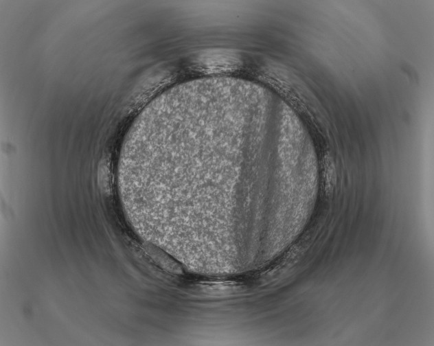 X0000090610316200708071209