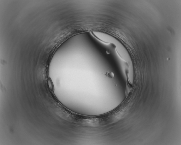 X0000090610317200708071209