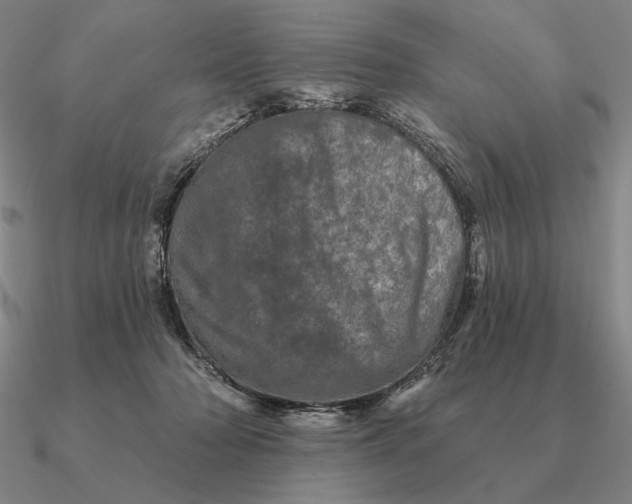 X0000090610318200708071208