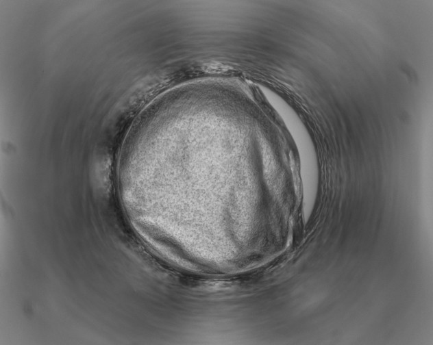 X0000090610319200708071208