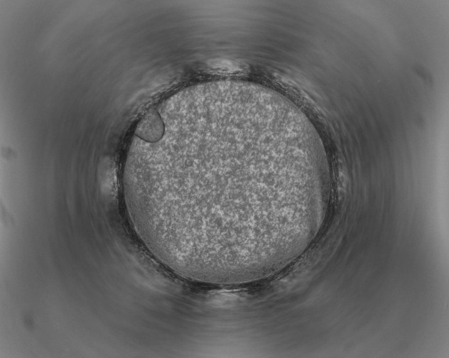 X0000090610320200708071208