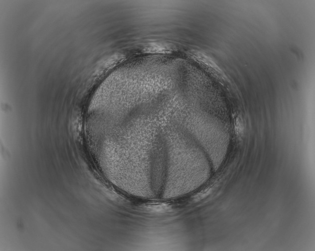 X0000090610322200708071208