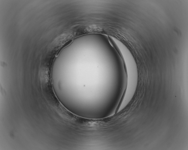 X0000090610323200708071208