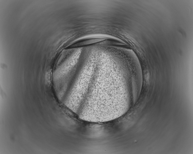 X0000090610325200708071208