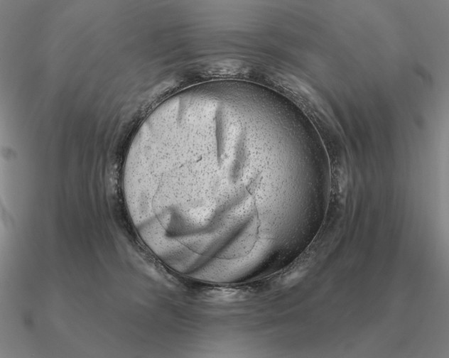 X0000090610326200708071208