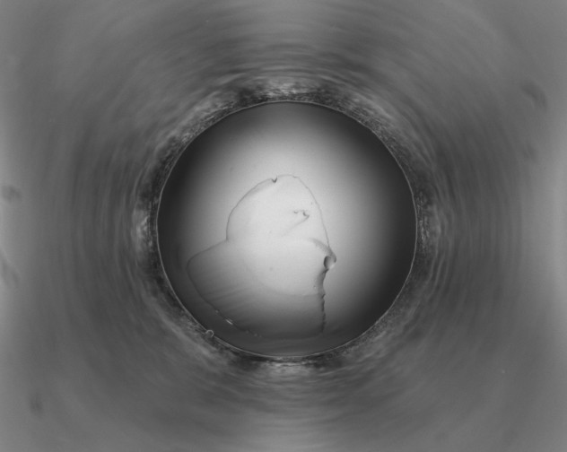 X0000090610327200708071208