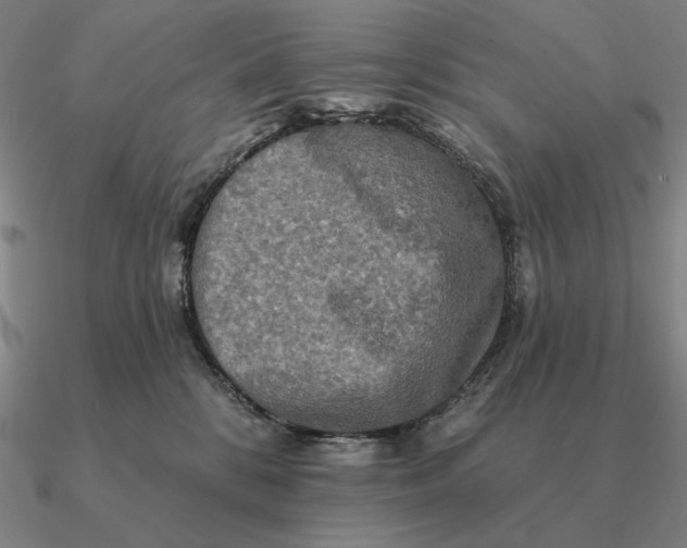 X0000090610328200708071208