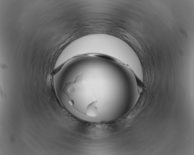 X0000090610329200708071208