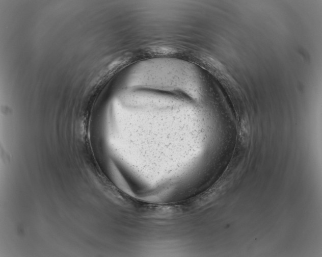 X0000090610330200708071208