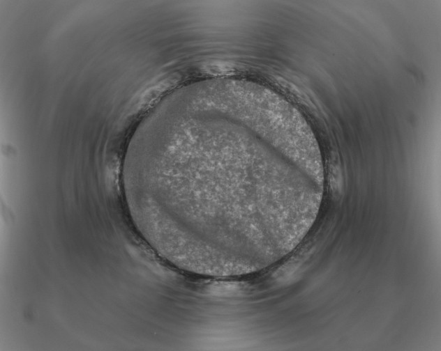 X0000090610332200708071208