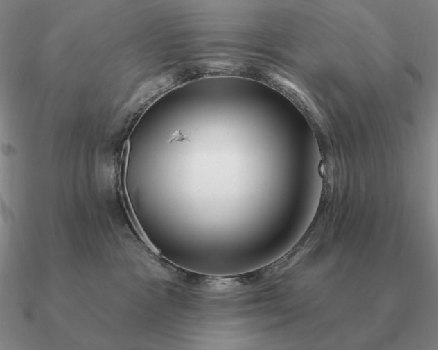 X0000090610333200708071208