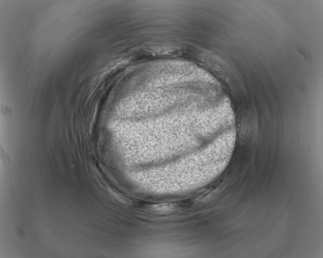 X0000090610335200708071208