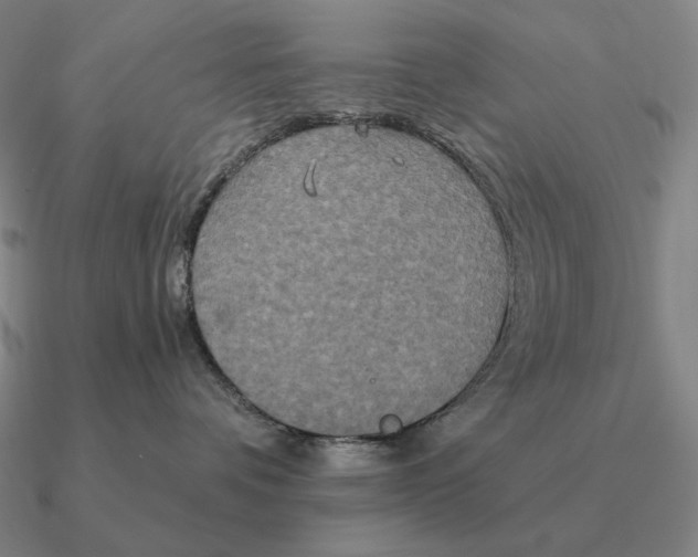 X0000090610336200708071208