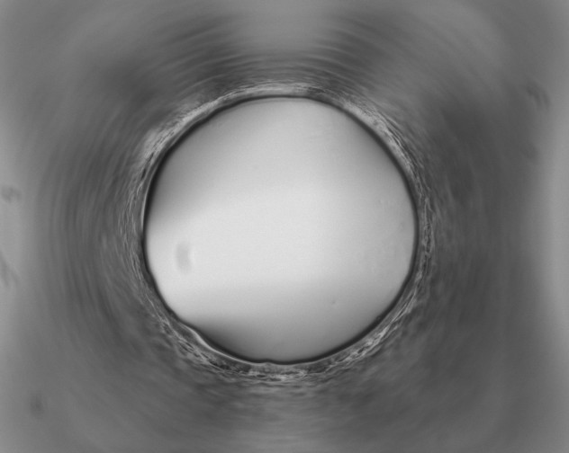 X0000090610337200708071208