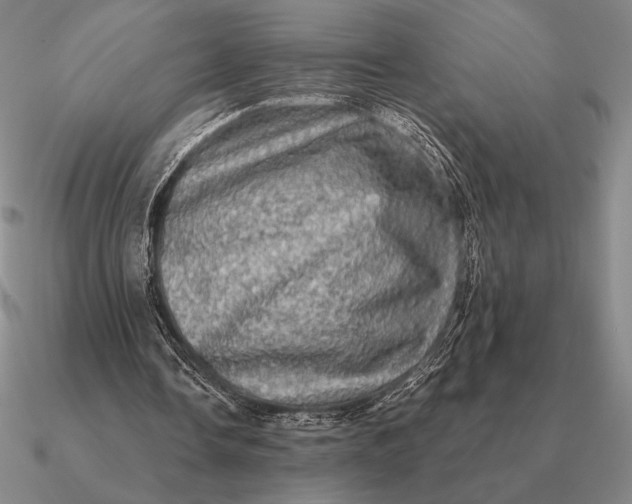 X0000090610338200708071208