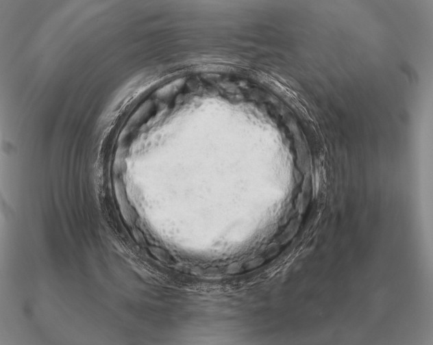 X0000090610339200708071208