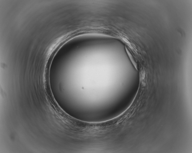 X0000090610340200708071208