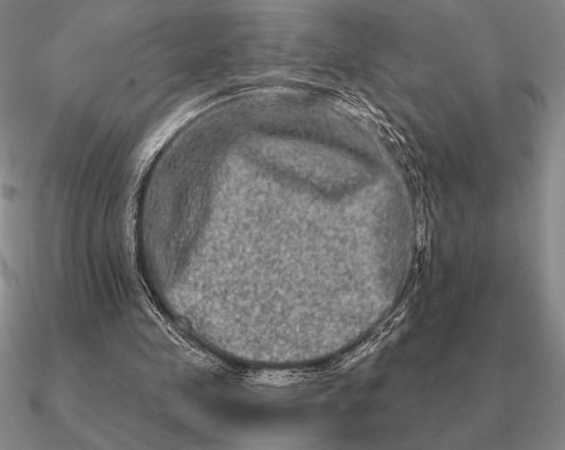 X0000090610341200708071208