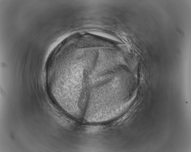 X0000090610342200708071208