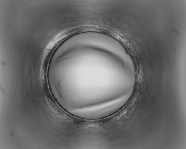 X0000090610343200708071208