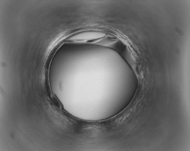 X0000090610344200708071208